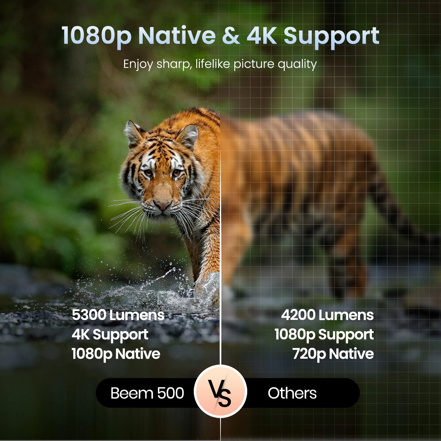 Beem 510 - Image 3