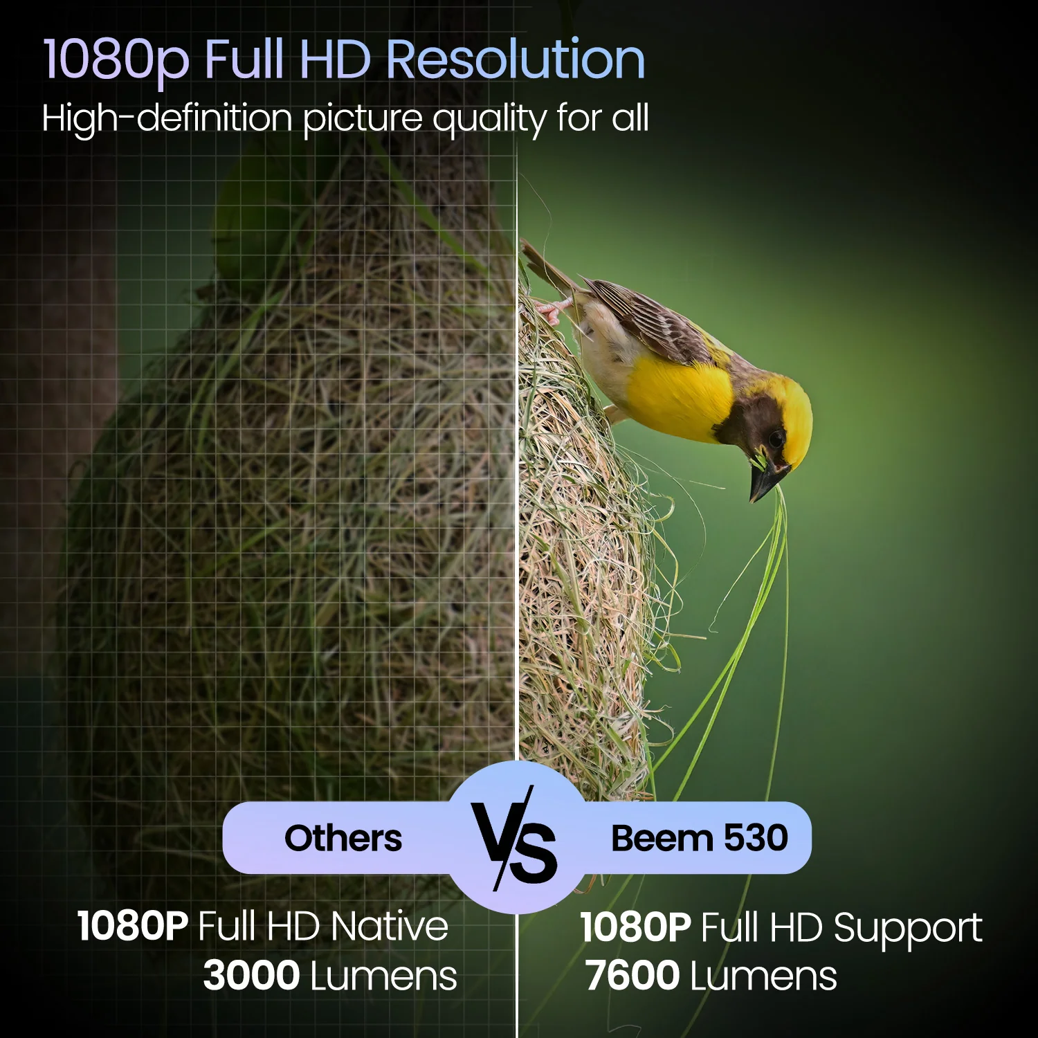Beem 530 - Image 3