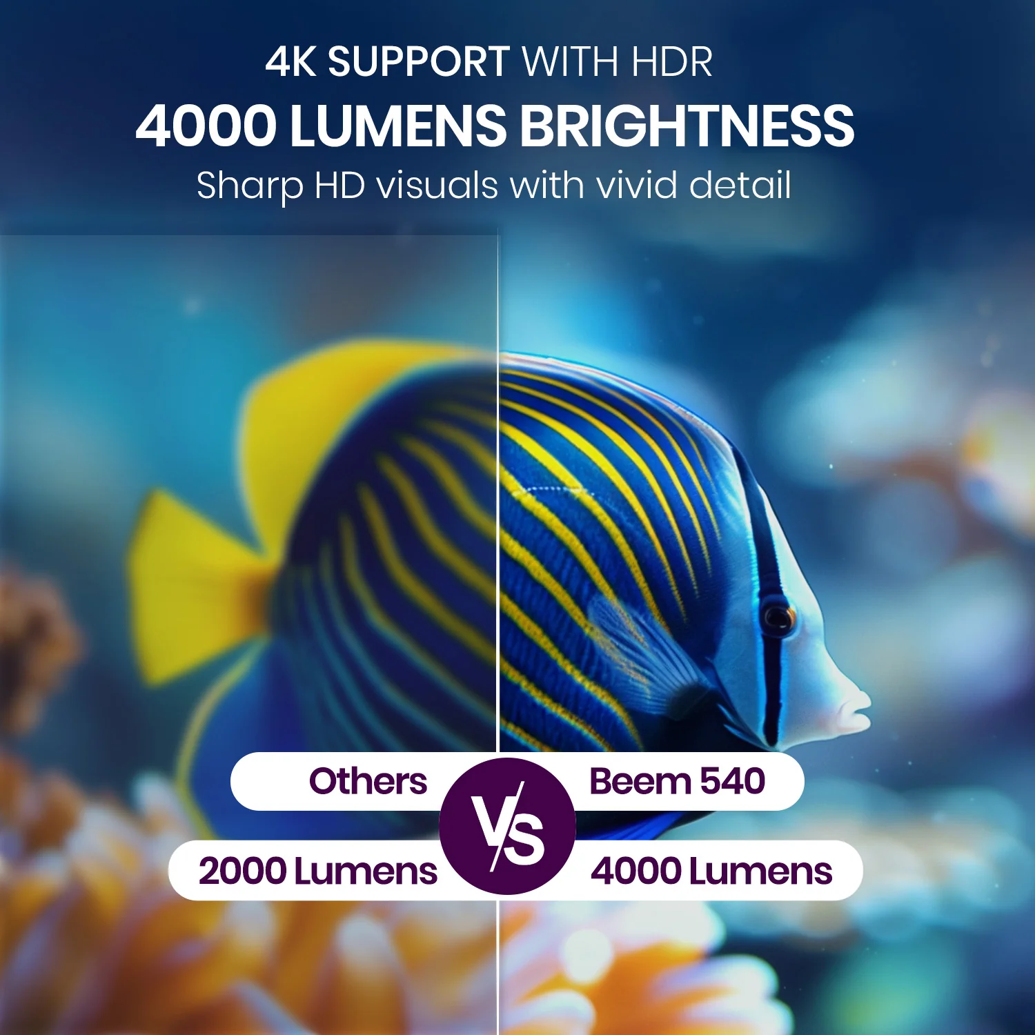 Beem 540 - Image 4