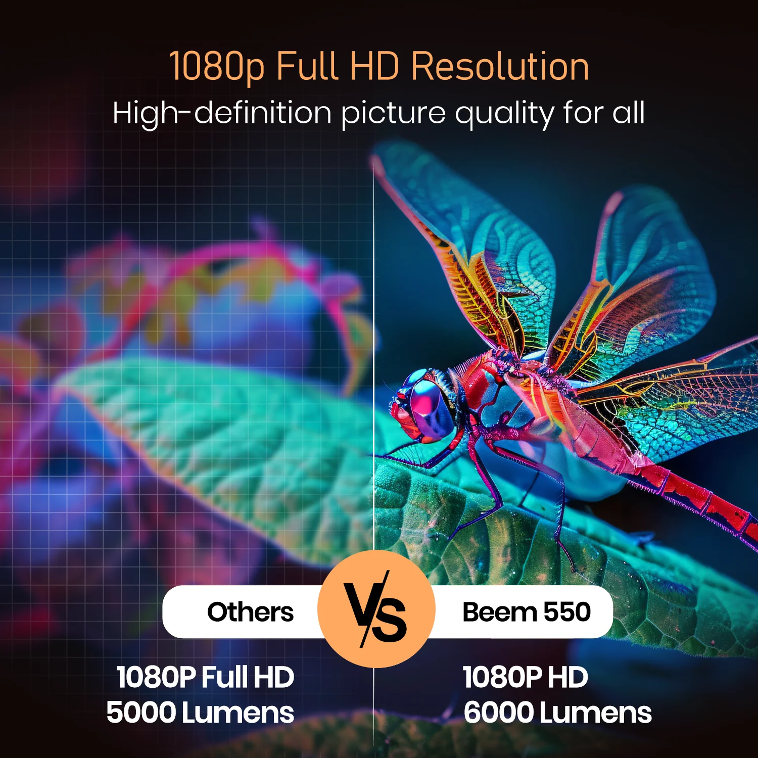 Beem 550 - Image 8