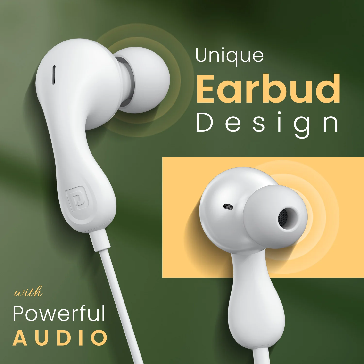 Conch kappa C - Image 4