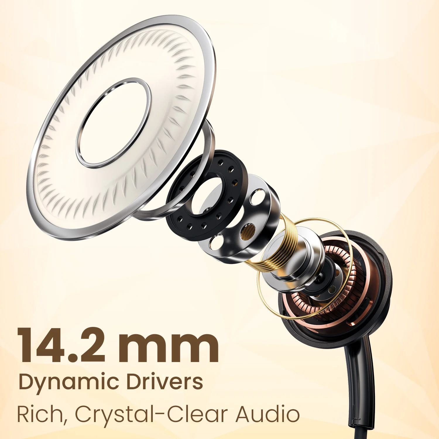 Conch Sigma - Image 13