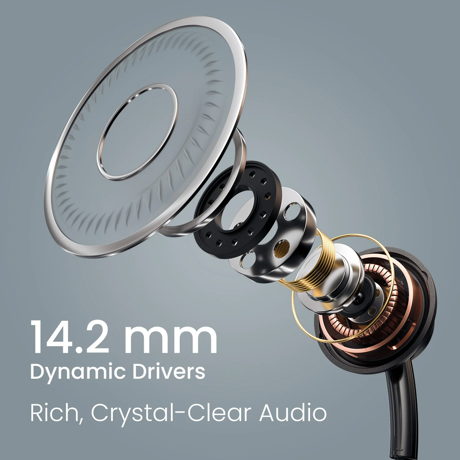 Conch Sigma A - Image 14