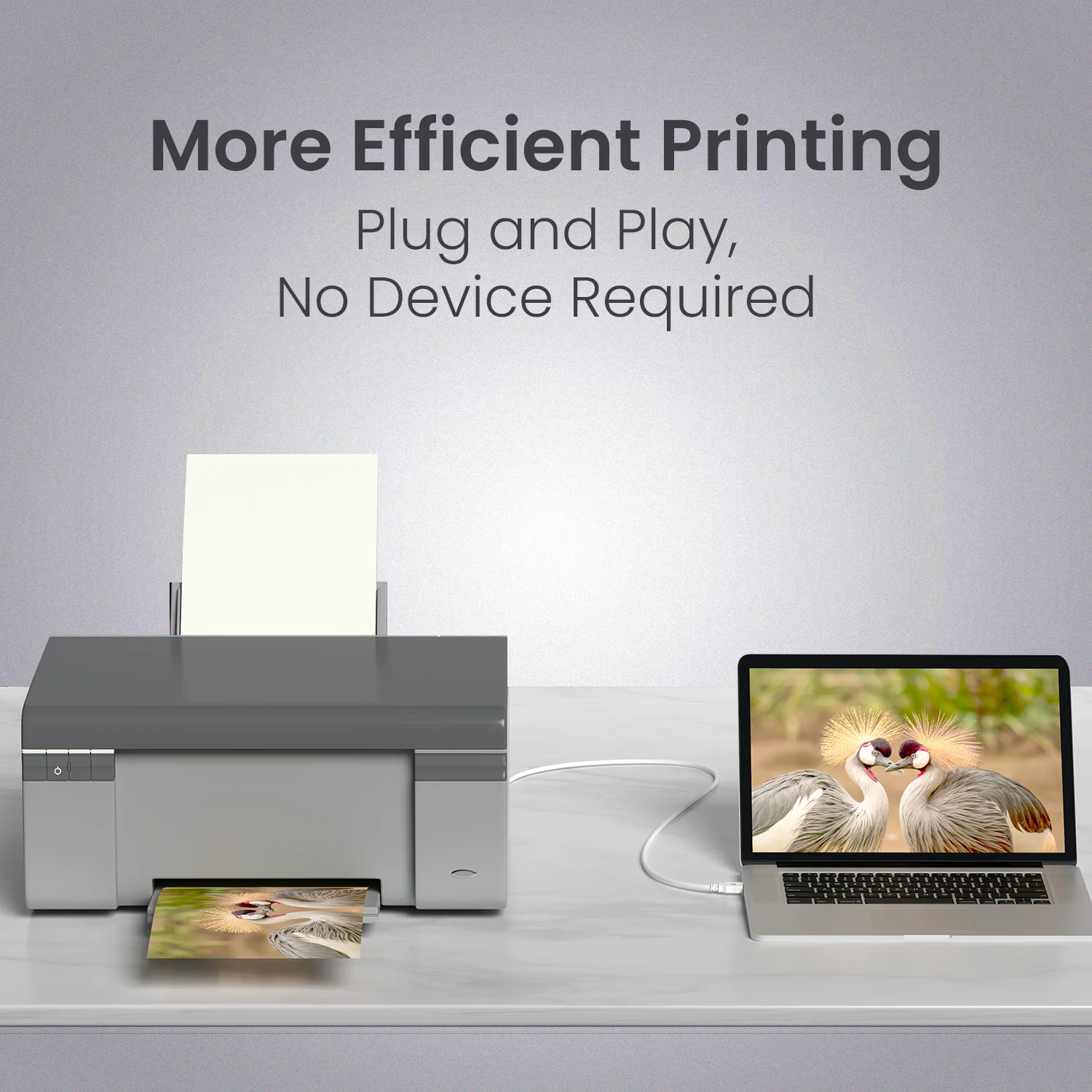 Printlink 3 - USB A To USB B For Printer 3M Cable - Image 7