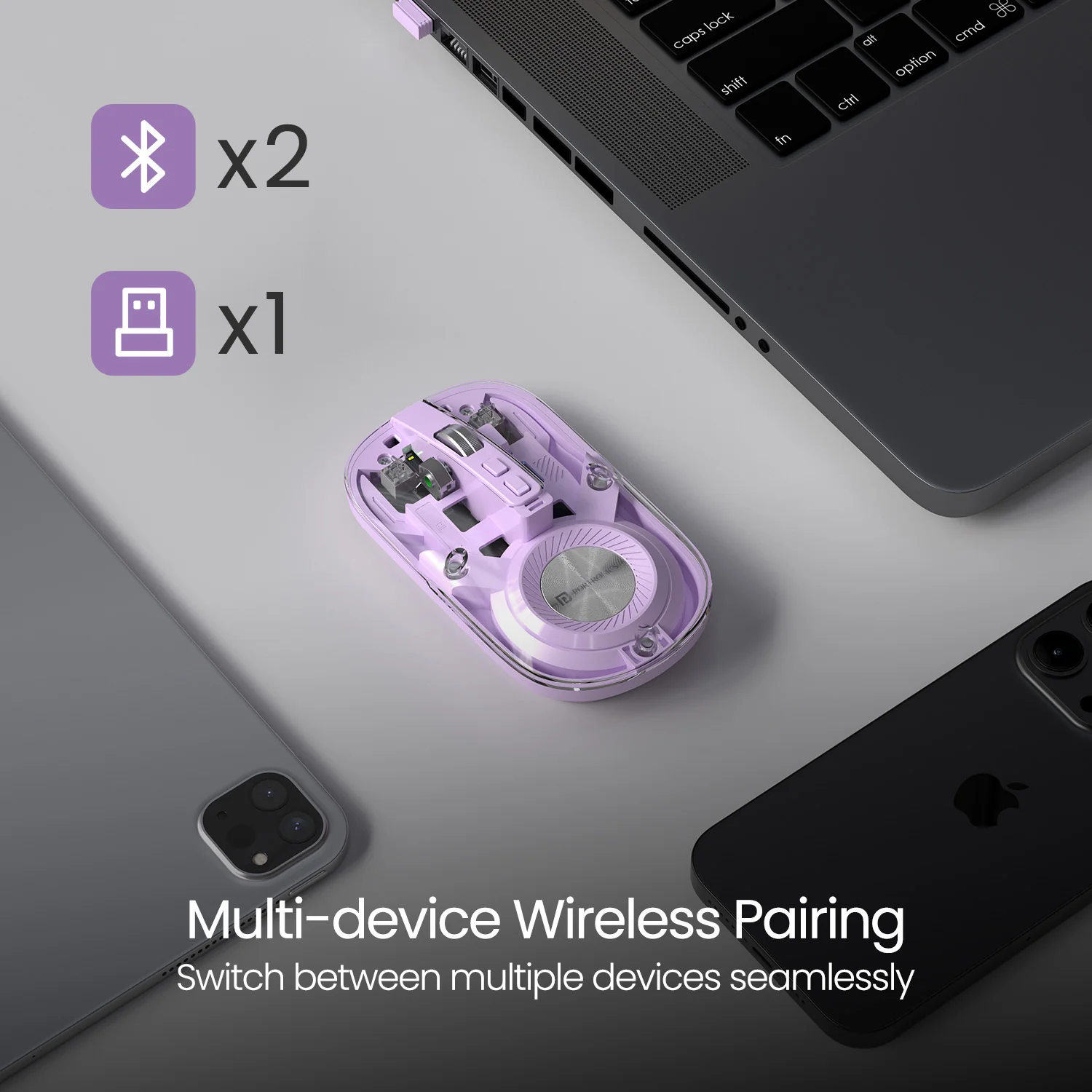 Toad 8 - Image 10