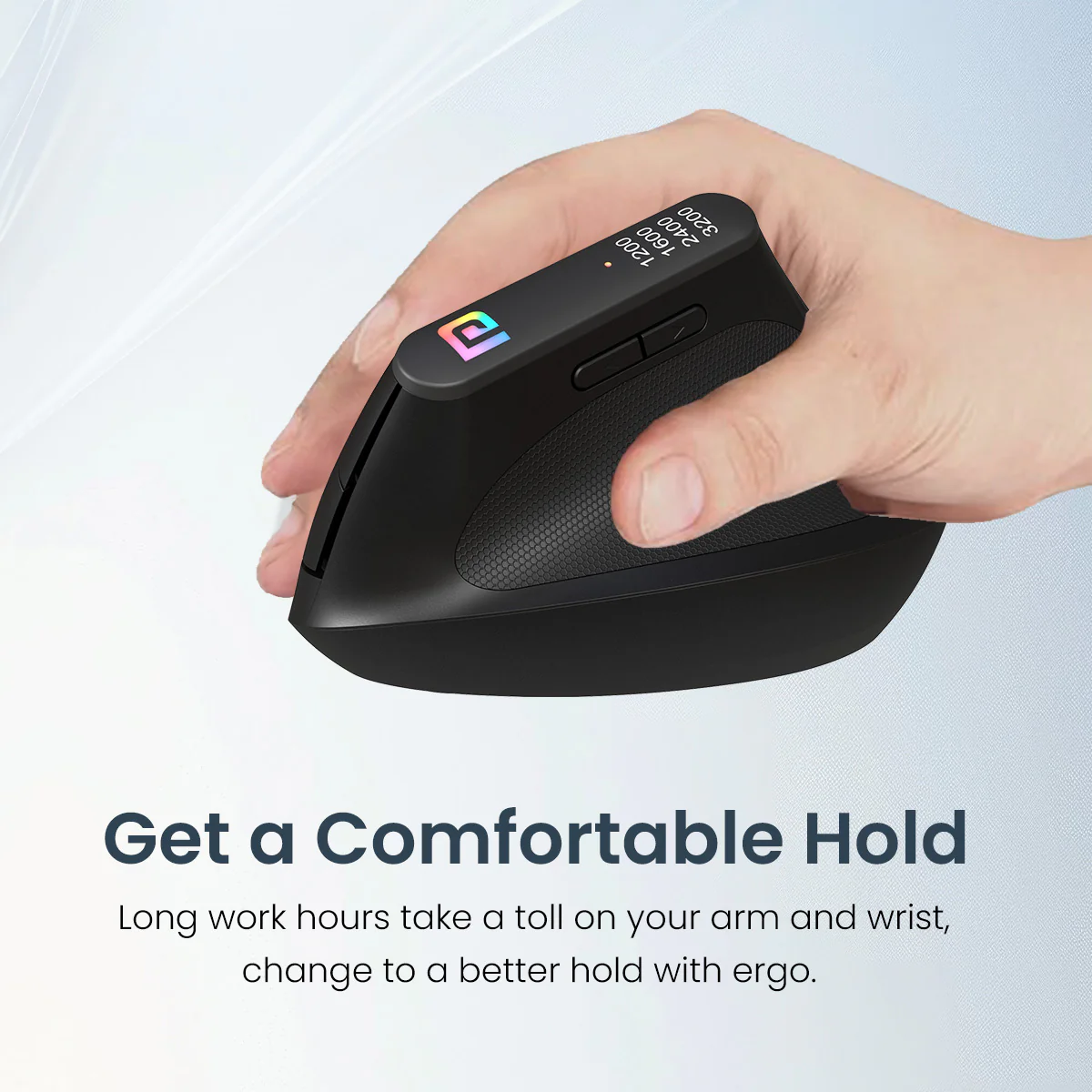 Toad Ergo - Image 3
